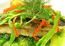 Anchorage Seafood Restaurant Melbourne